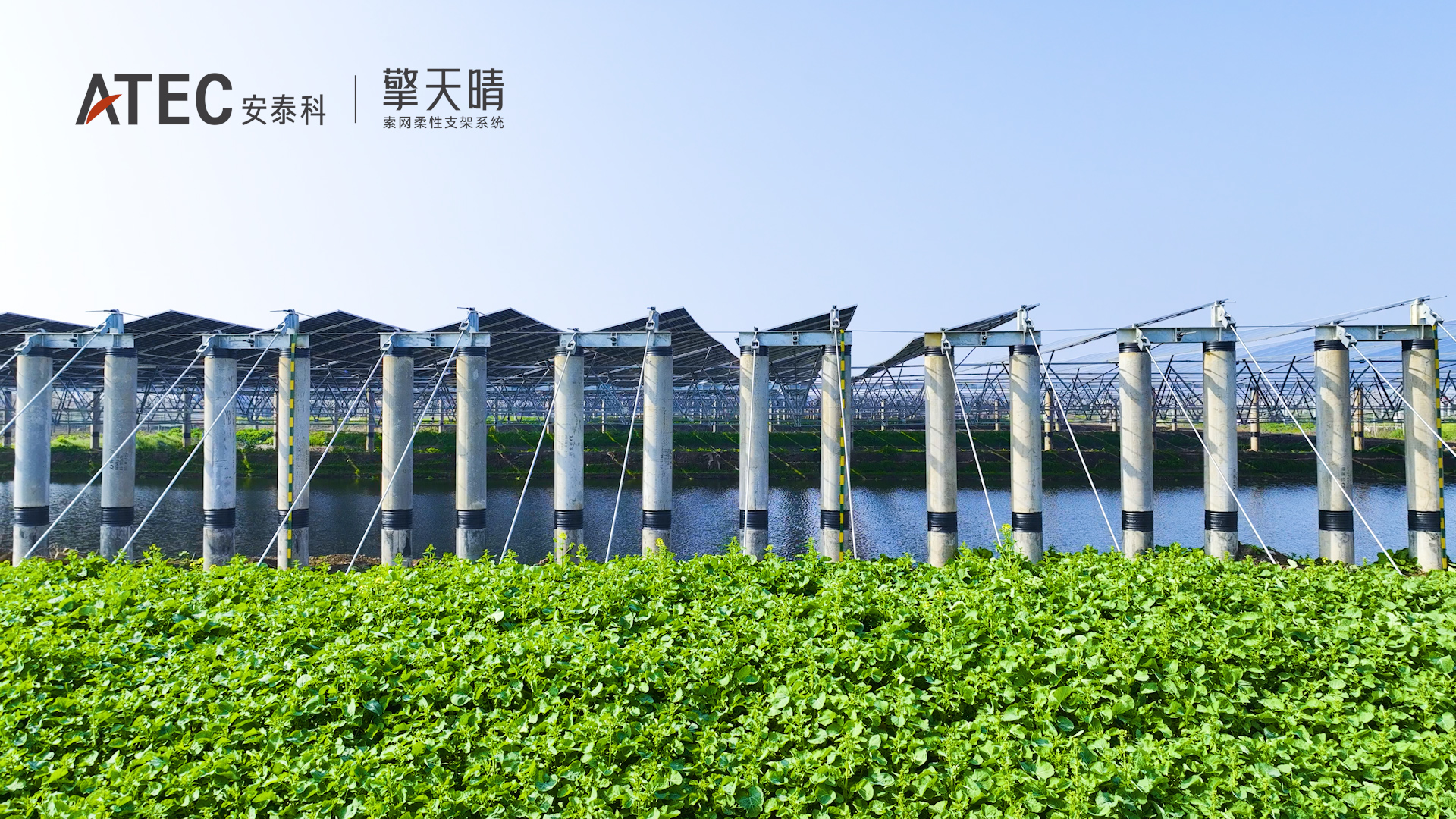 序列 01.00_00_35_19.Still011.00_00_17_22.Still057.jpg