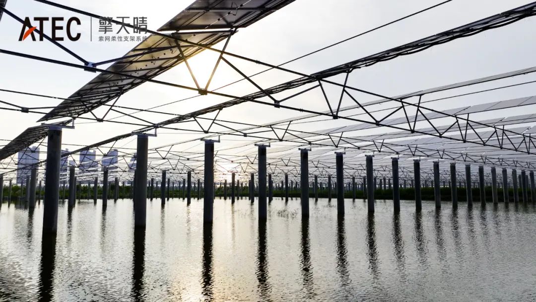 大唐天津宝坻里自沽：171.6MW渔光互补项目，开辟绿色低碳、互惠共赢新路径(图21)