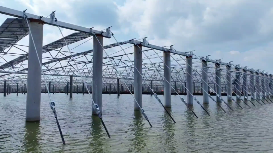 深圳安泰科助力三峡青口盐场项目，柔性支架引领渔光互补新潮流(图3)